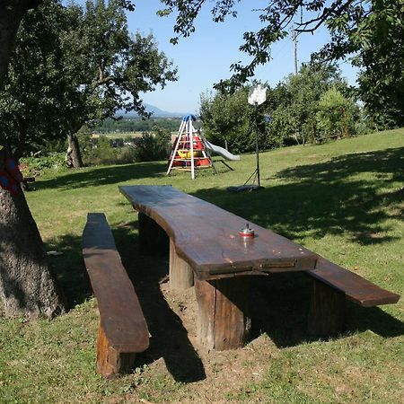 Panorama B&B Ptuj Eksteriør billede