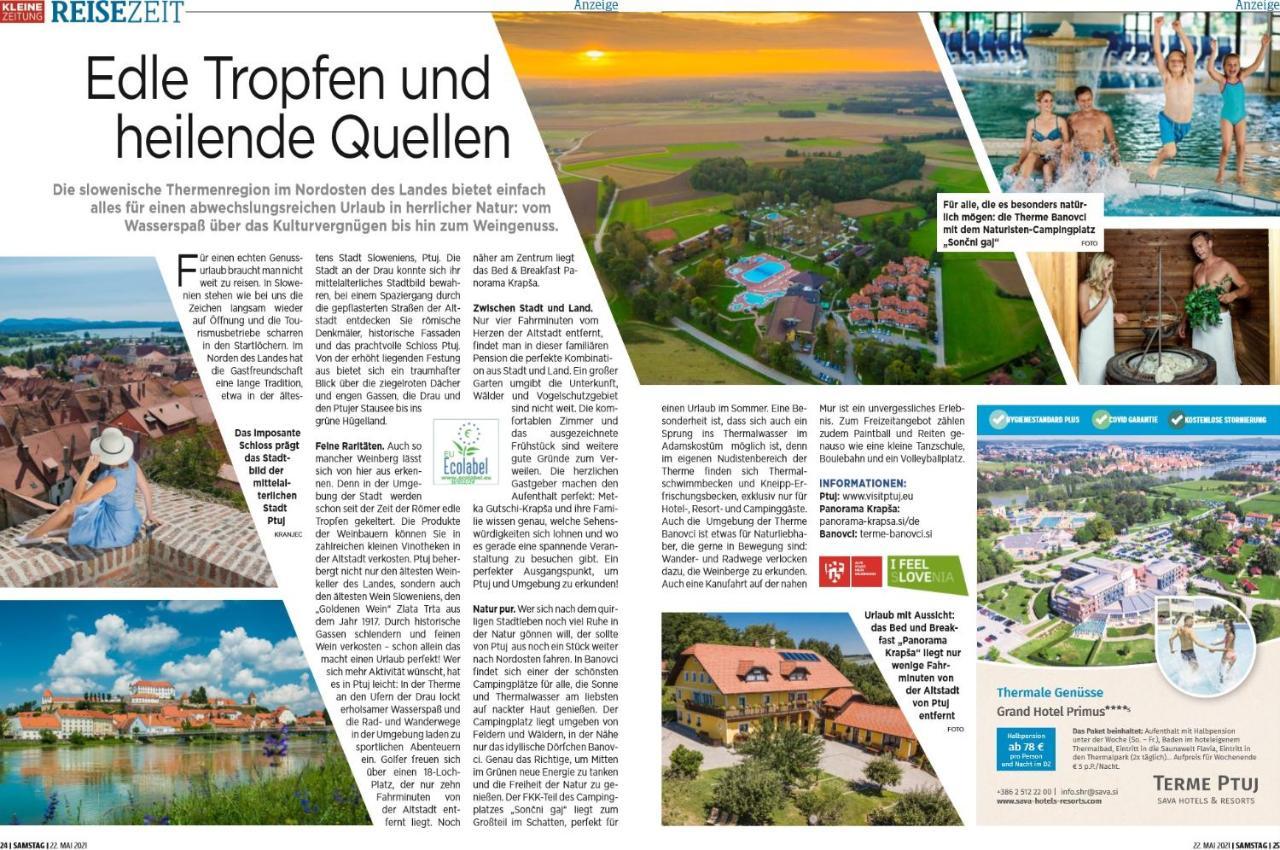 Panorama B&B Ptuj Eksteriør billede