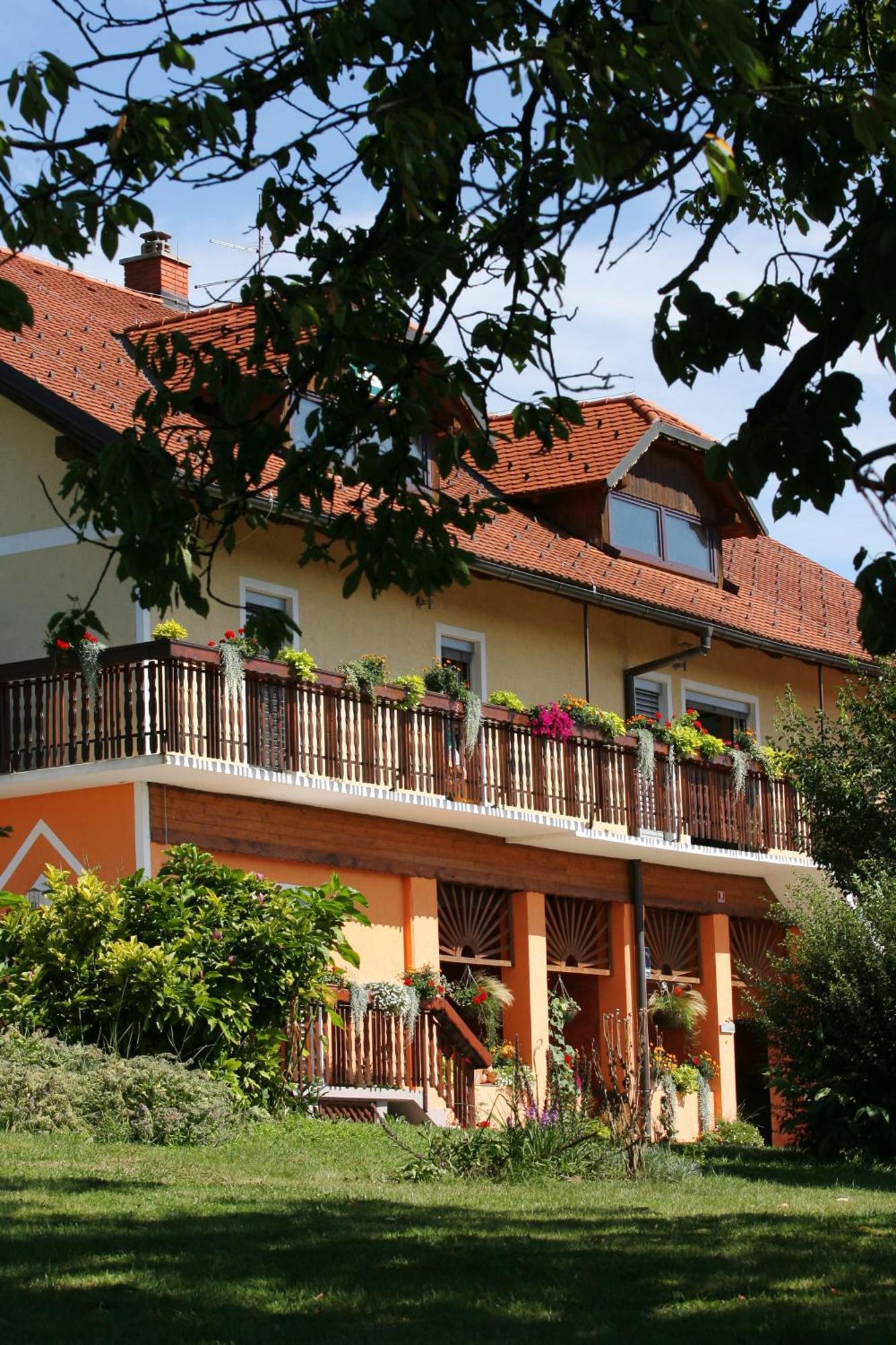 Panorama B&B Ptuj Eksteriør billede