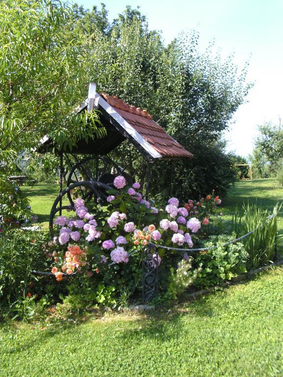 Panorama B&B Ptuj Eksteriør billede