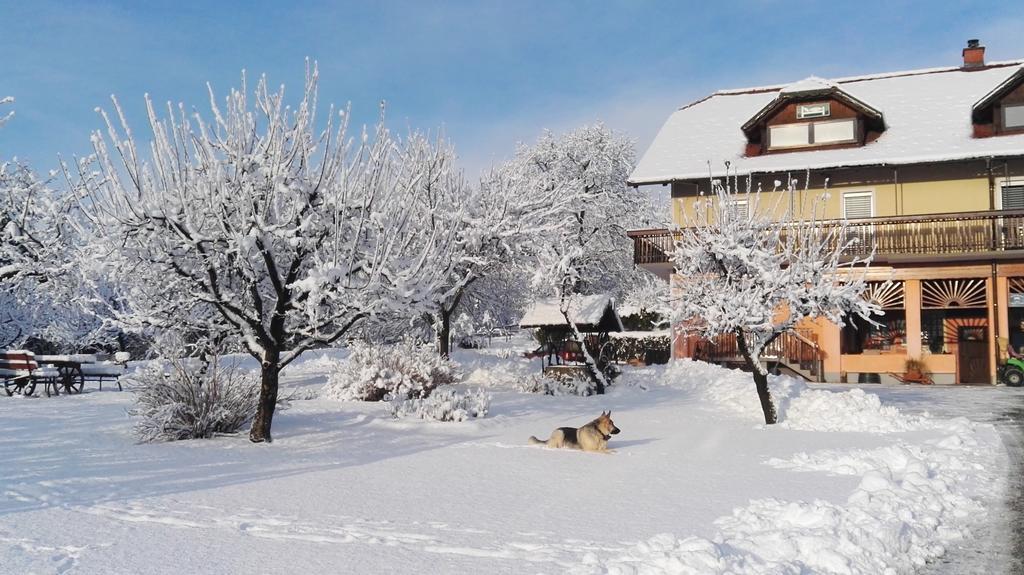 Panorama B&B Ptuj Eksteriør billede