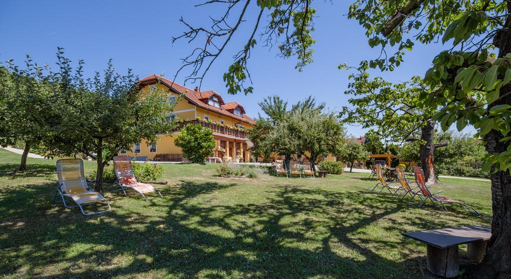 Panorama B&B Ptuj Eksteriør billede