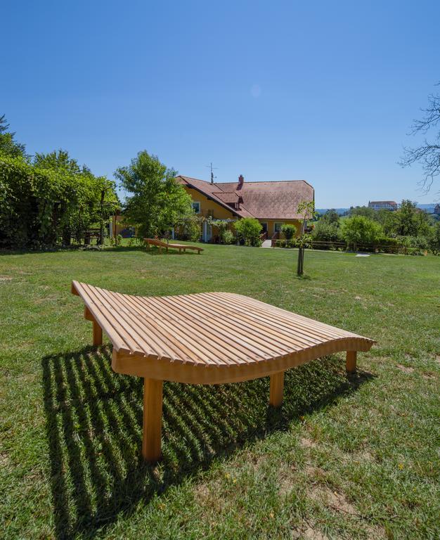 Panorama B&B Ptuj Eksteriør billede