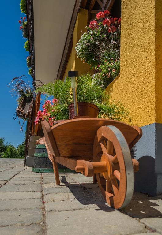 Panorama B&B Ptuj Eksteriør billede