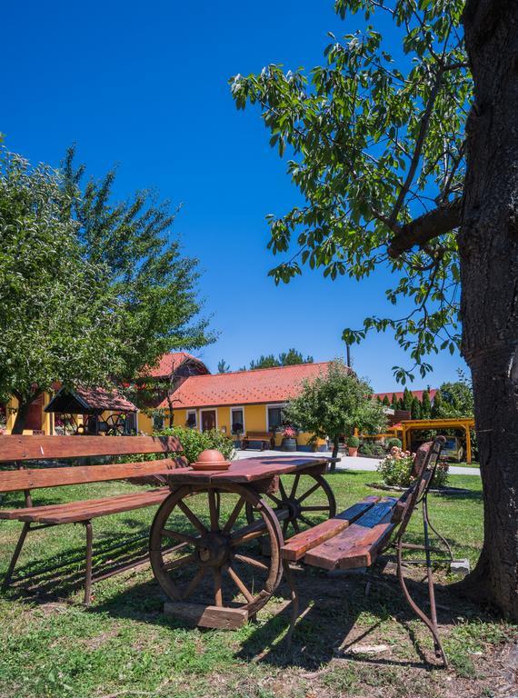 Panorama B&B Ptuj Eksteriør billede