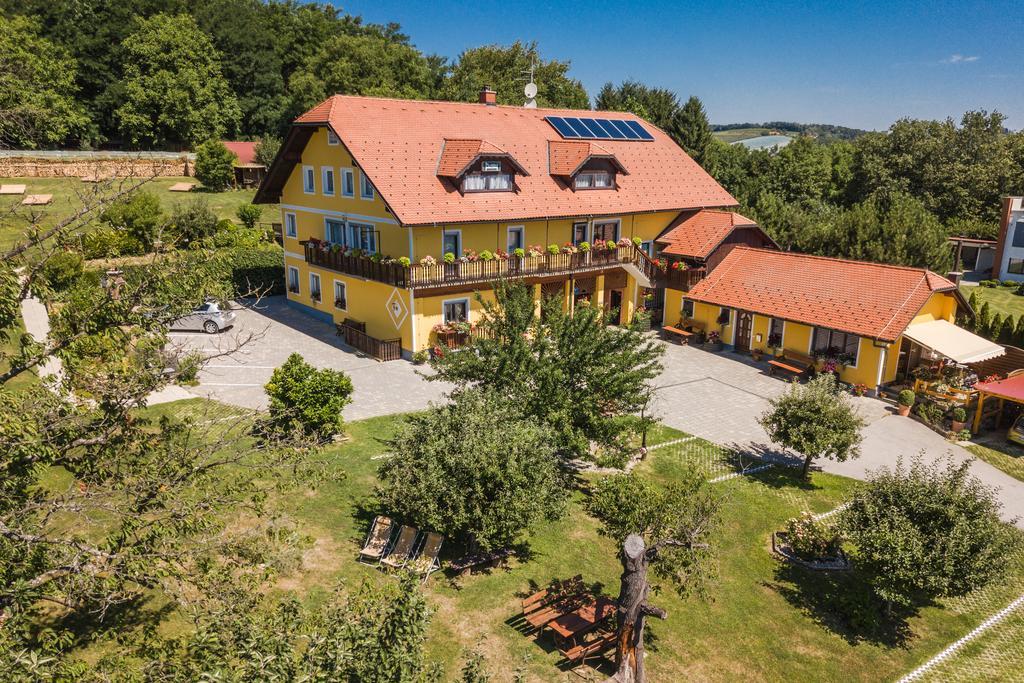 Panorama B&B Ptuj Eksteriør billede