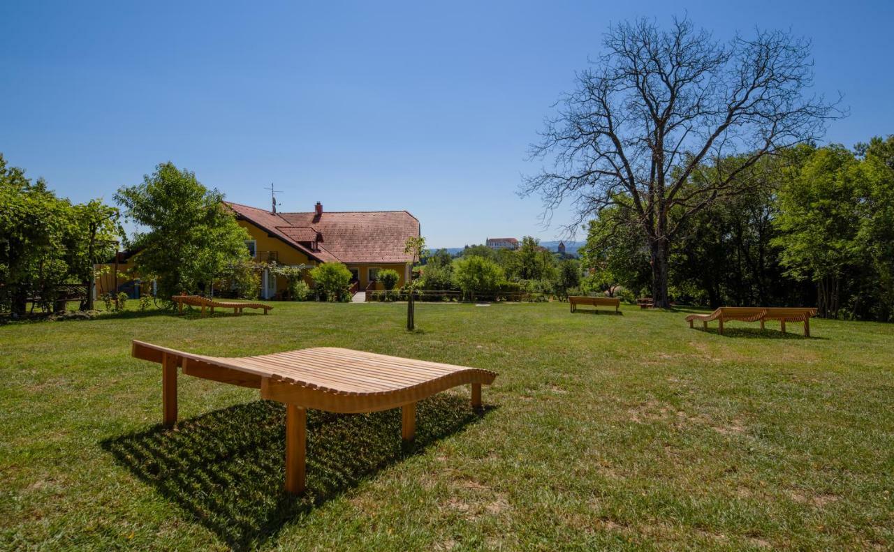 Panorama B&B Ptuj Eksteriør billede