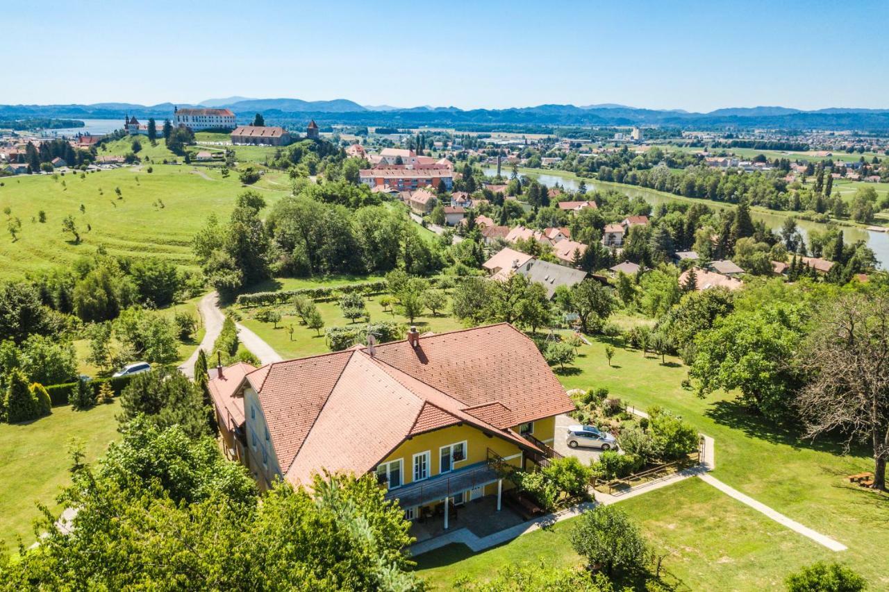 Panorama B&B Ptuj Eksteriør billede
