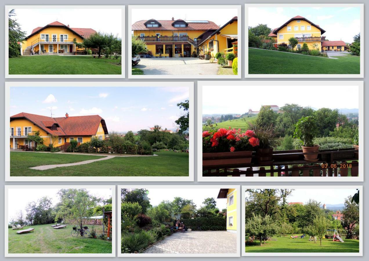 Panorama B&B Ptuj Eksteriør billede