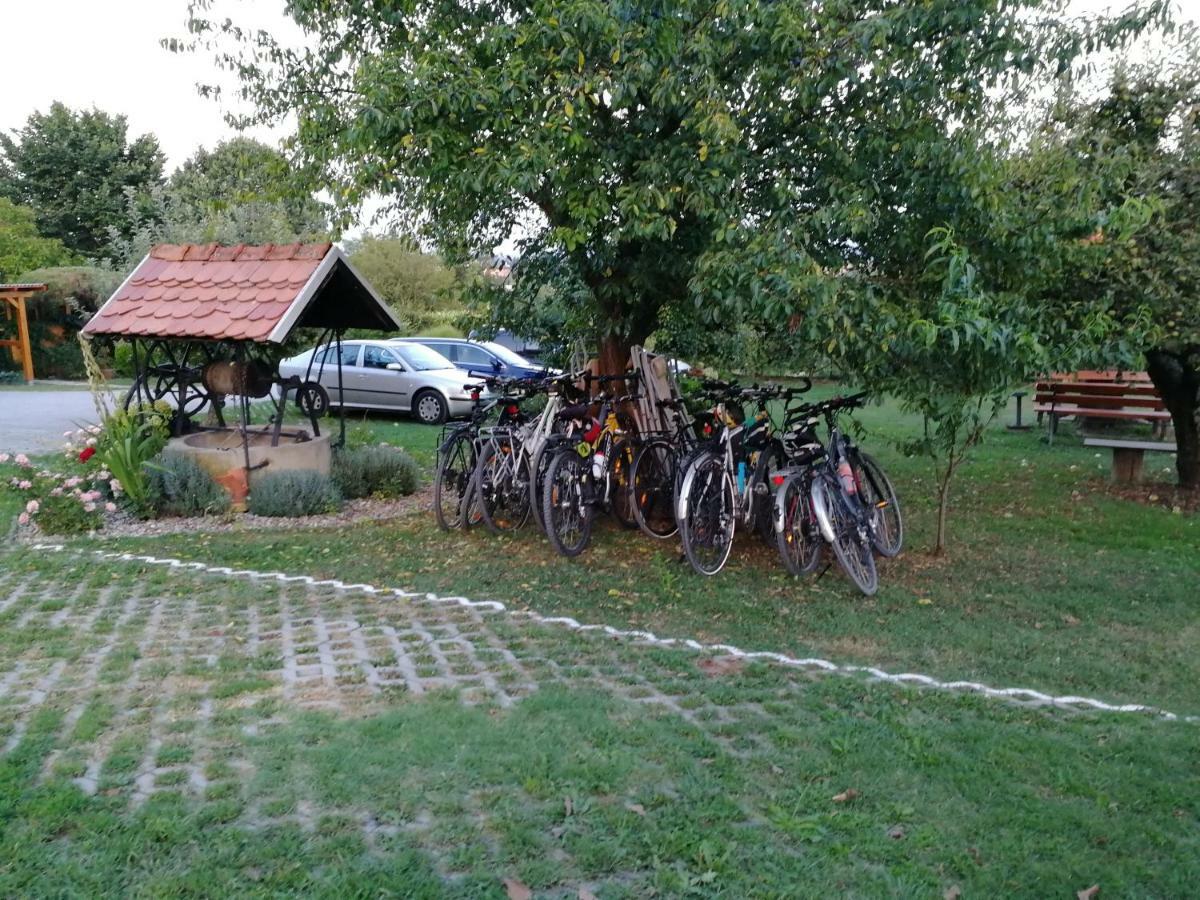 Panorama B&B Ptuj Eksteriør billede