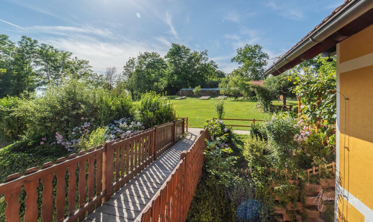 Panorama B&B Ptuj Eksteriør billede